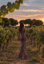 MAGNIFICA ELEGANT DRESS